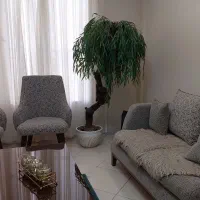 بید مجنون  زیبا با چوب اصلی درخت