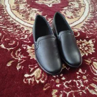 کفش|کیف، کفش، کمربند|ایلام, |دیوار