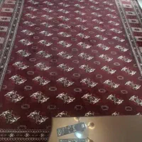 فرش دستبافت ترکمن|فرش|قائم‌شهر, |دیوار