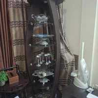 ویترین ایستاده سالم