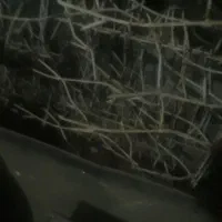 حفاظ میلگردی شاخه ای|مصالح و تجهیزات ساختمان|نصر آباد, |دیوار