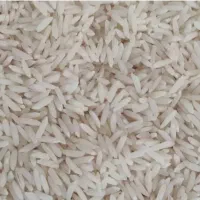 شریک و سرمایه گذار|خدمات مالی، حسابداری، بیمه|قم, نیروگاه|دیوار