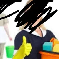 نظافت و گرت گیری منزل