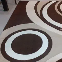 فرش ماشینی مدرن ۶ متری|فرش|اردبیل, |دیوار