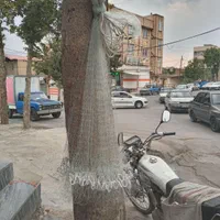 انواع تور ماهیگیری وتعمیرات تور