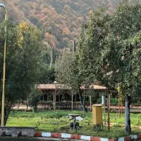 داوطلبانه افراد م س ن