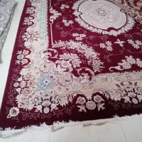 فرش|فرش|تایباد, |دیوار