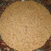 غذای پرنده