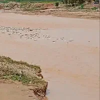 آب کشاورزی