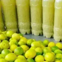 ابلیمو تازه امسالی