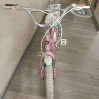 دوچرخه صورتی دخترانه TPT CYCLE مدل t16 m015|دوچرخه، اسکیت، اسکوتر|تهران, باغ خزانه|دیوار