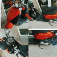 پاکشتی تودی خشک