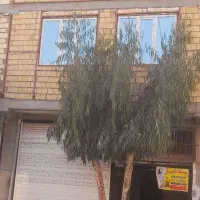 یک-بابا-انباری-80-متر