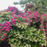 منشی خانم /سرایدار /نگهبان / حقوق ۴۰میلیون  مزایا|استخدام اداری و مدیریت|تهران, فلسطین (میدان انقلاب)|دیوار