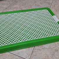 وسایل سگ درحد نو فروشی