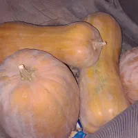 لوبیا سبز و فلفل تندوبادمجان وکدو تخم مرغ|خوردنی و آشامیدنی|بجنورد, |دیوار