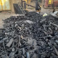 خرید انواع چوب درخت|خدمات باغبانی و درختکاری|کنگاور, |دیوار