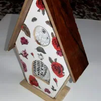 زنگ بلبلی نو