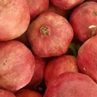 انار  و رب انار درجه یک ارسنجان .