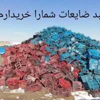 ضایعات سبد میوه