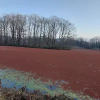 کارت سوخت