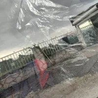 ساینا96|خودرو سواری و وانت|اطاقور, |دیوار