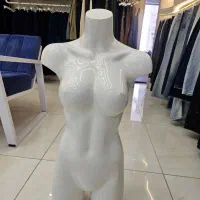 مانکن|فروشگاه و مغازه|بندر ماهشهر, |دیوار