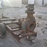 خنزیره