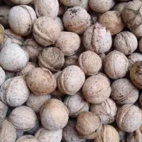 گردوفروش فوری