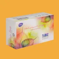 صابون ضدلک استین پک ۳ عددی