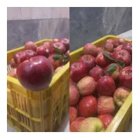 سیب قرمز