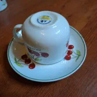 فنجان و نعلبکی