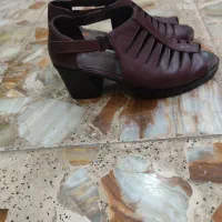 کفش وکتانی|کیف، کفش، کمربند|لنگرود, |دیوار