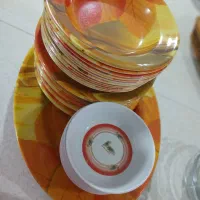 ظروف ملامین ۱۲نفره