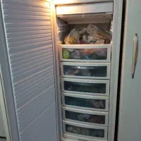 یخچال دوقلویخساران