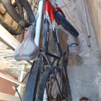 دوچرخه ۲۴|دوچرخه، اسکیت، اسکوتر|گمیشان, |دیوار