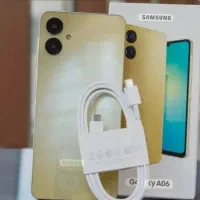 a06