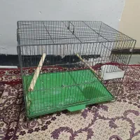 قفس
