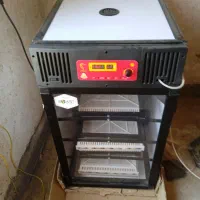 دستگاه جوجه کشی دورنا 2اسکندری