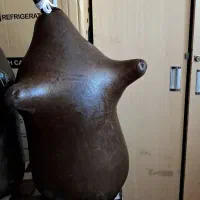 هیزه گوسفندی جا روغن