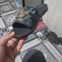 دم پای صندل طبی|کیف، کفش، کمربند|شهریار, دهشاد بالا|دیوار