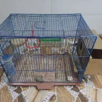 قفس پرنده با وسایل کامل|لوازم جانبی حیوانات|اهواز, پردیس دو|دیوار