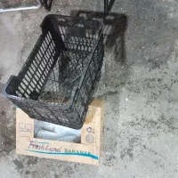 سبد سورتینگی|فروشگاه و مغازه|فسا, |دیوار