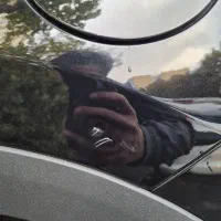 ۱۴۰۳/ کم کار|خودرو سواری و وانت|تهران, تهرانپارس غربی|دیوار