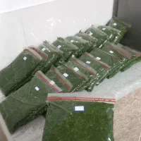 به یک فروشنده خانم نیازمندیم