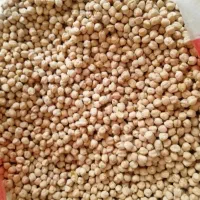 نخود اشترانکو مال مسال تازه و خوش پخت