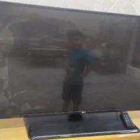 تلوزیون