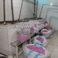 گلاب و عرقیات سنتی|عمده‌فروشی|تهران, ائمه اطهار|دیوار