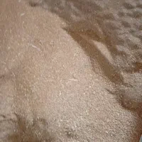 گندم و لوبیا|خوردنی و آشامیدنی|اهواز, اسماعیلیه|دیوار