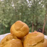 کیک و شیرینی قیمت مناسب